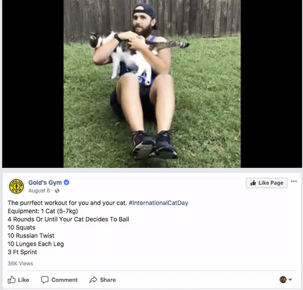 Gold’s Gym uses cats - the internet’s favorite animal) in their Facebook posts.