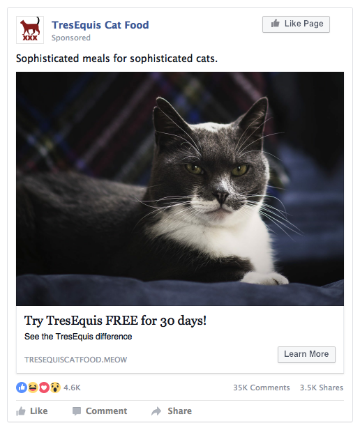 Facebook猫粮广告例子