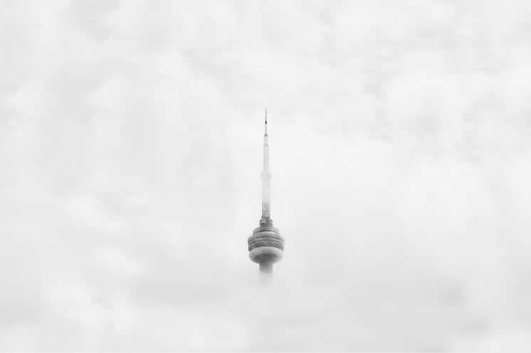 霧中的CN塔