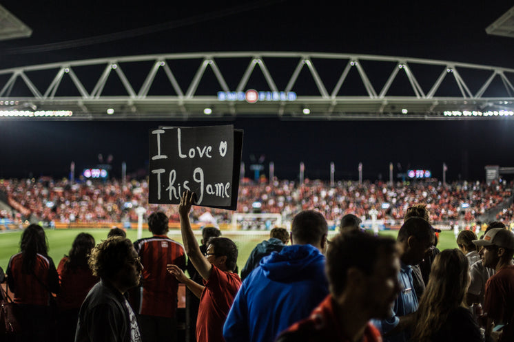 Fan With Sign At Soccer Game