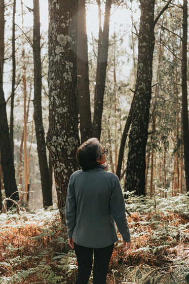 a back of a person looking up in a forest