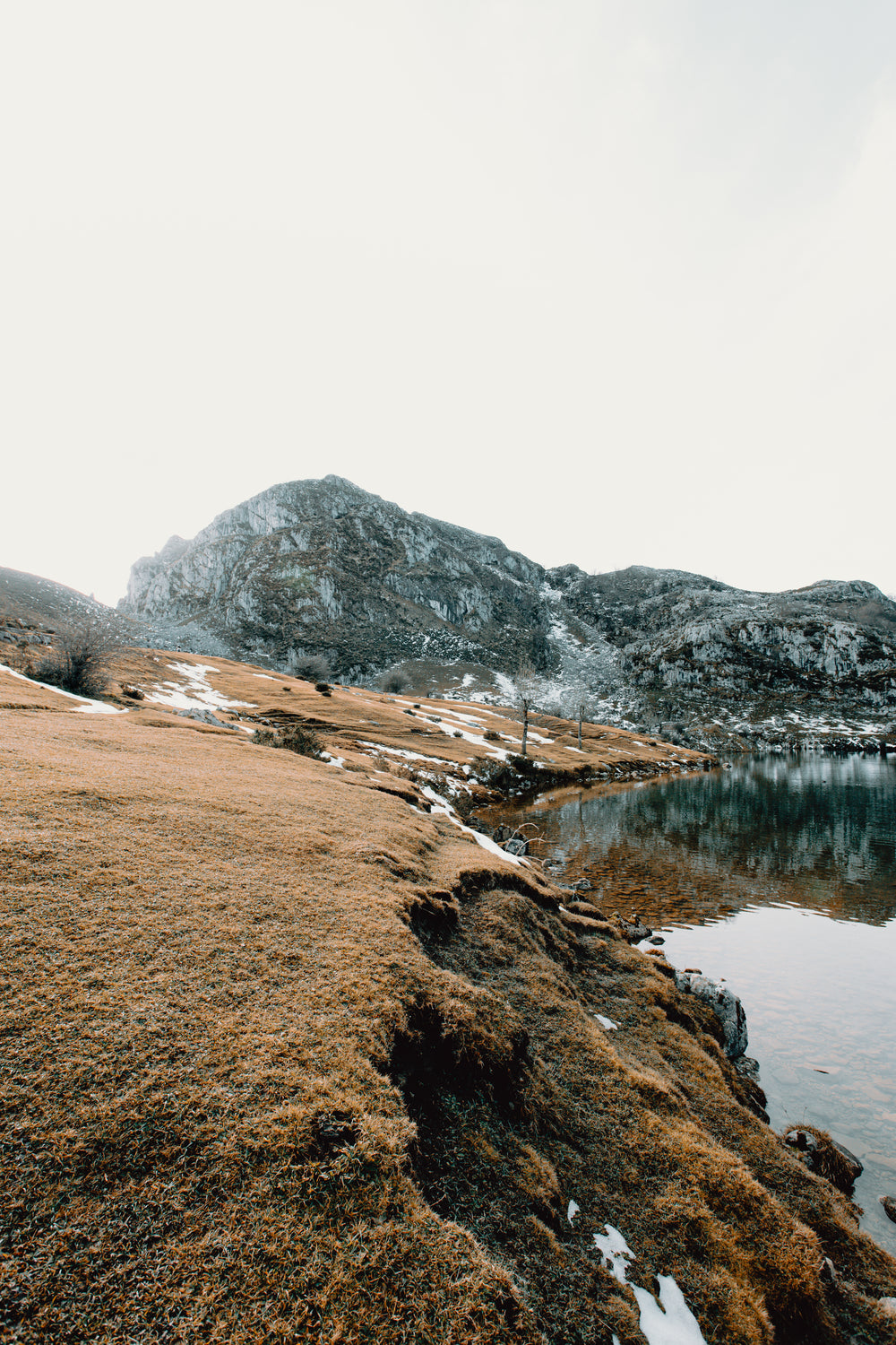 a barren winter landscape