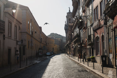 a bird flies through a quiet street