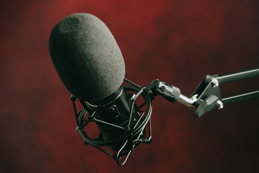 a black microphone mounted on a stand