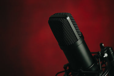 a black mounted metal microphone against red