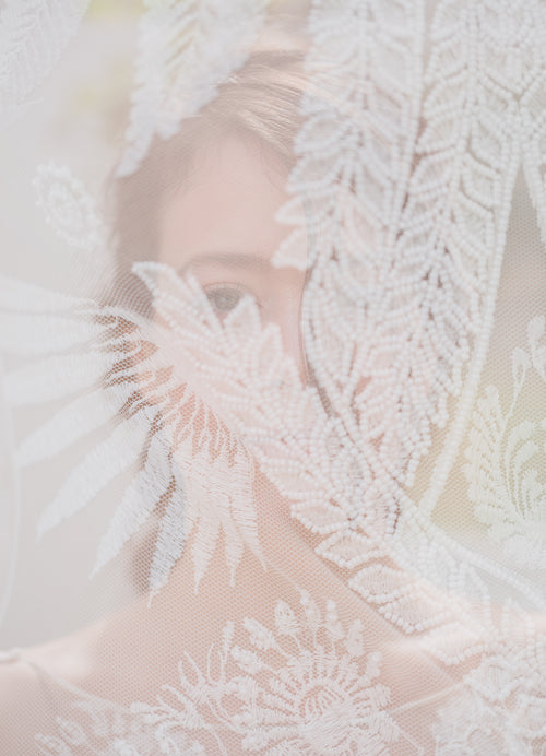 a bride through a veil