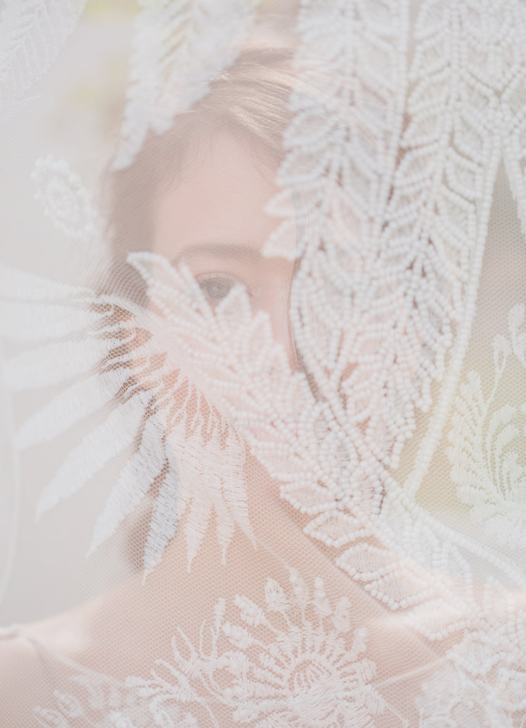 a-bride-through-a-veil.jpg?width=746&for