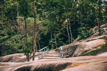 a bridge over rocks