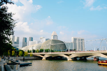 a bridge stretches toward the city