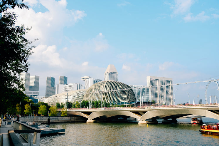 A Bridge Stretches Toward The City