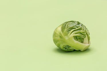 brussel sprout on green surface