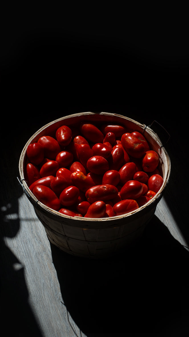 a bushel of ripe red roma tomatoes
