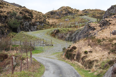 a cattle path up into the hills