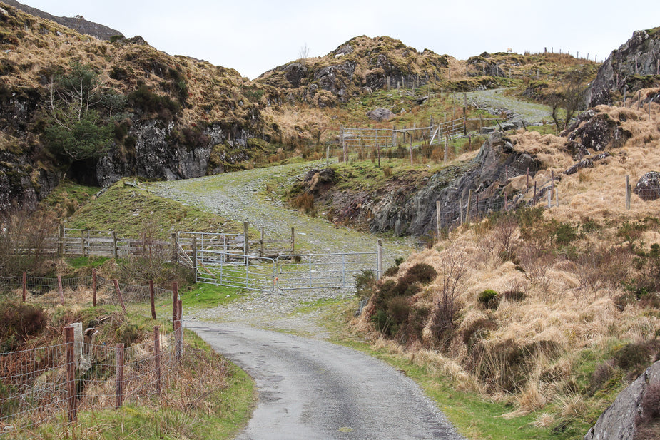 Browse Free HD Images of A Cattle Path Up Into The Hills