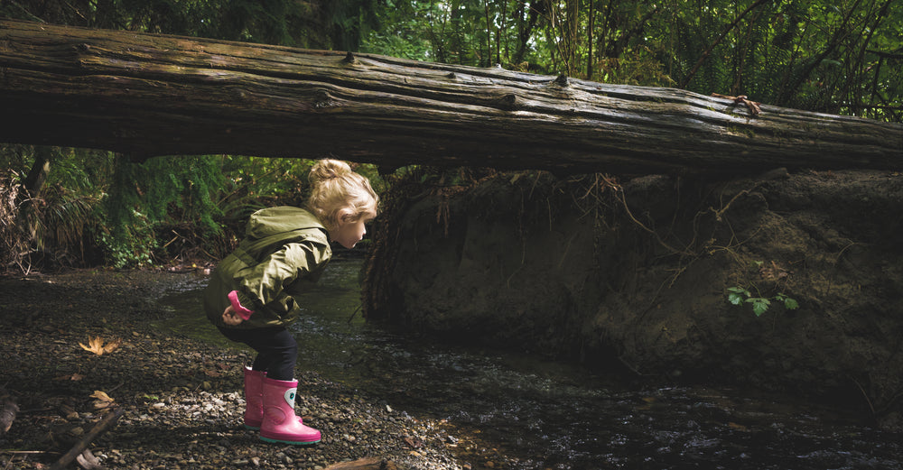 a child exploring nature