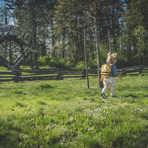 A Child Runs Through The A Grassy Clearing