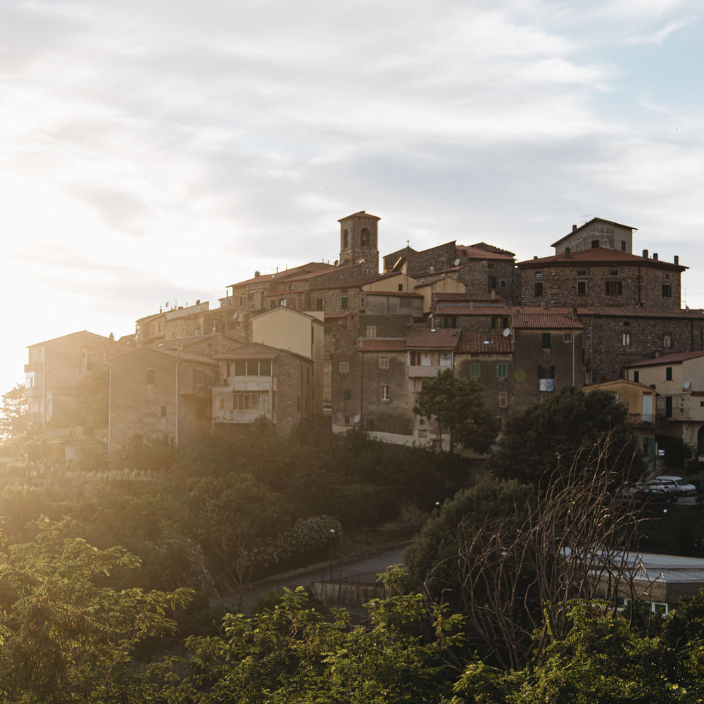 a city sits on top of a hill