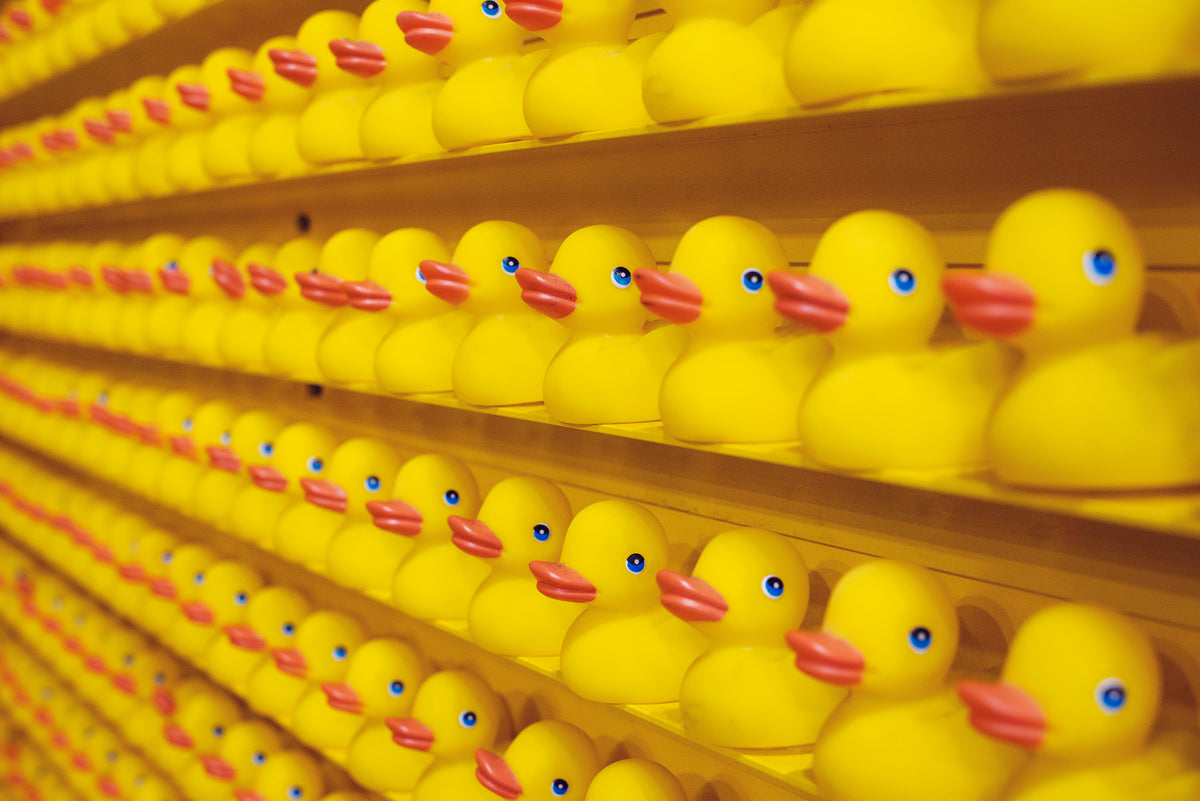 a close up of hundreds of rubber ducks