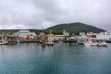 a colorful harbor of boats