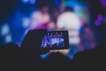 a concert seen through an audience member's mobile phone