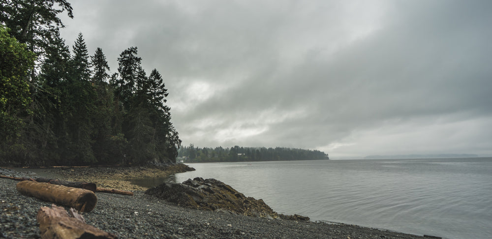 a cool grey tree-lined rubble beach