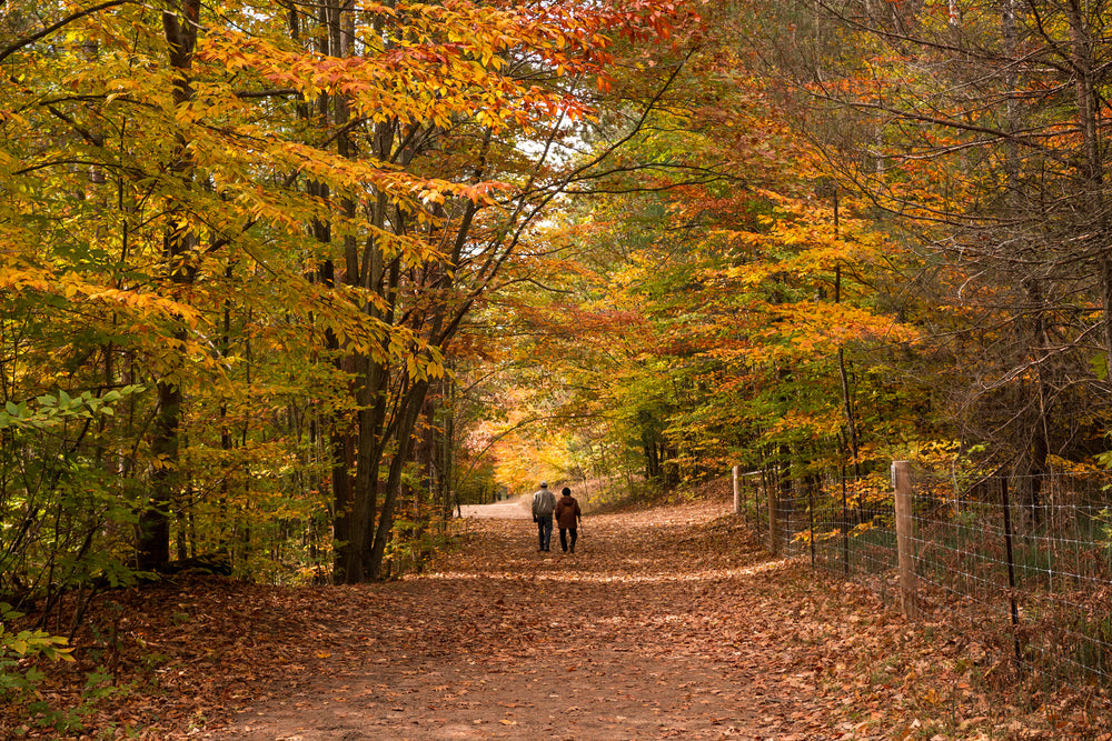 a couple strolls down a fall path