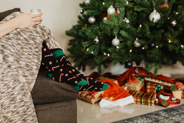 Browse Free Hd Images Of A Cozy Sit By The Christmas Tree