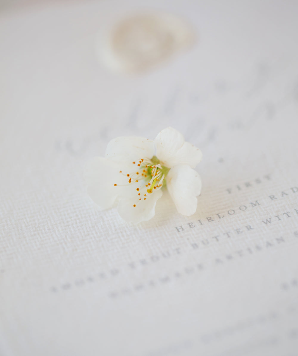 a flower and a wedding invite