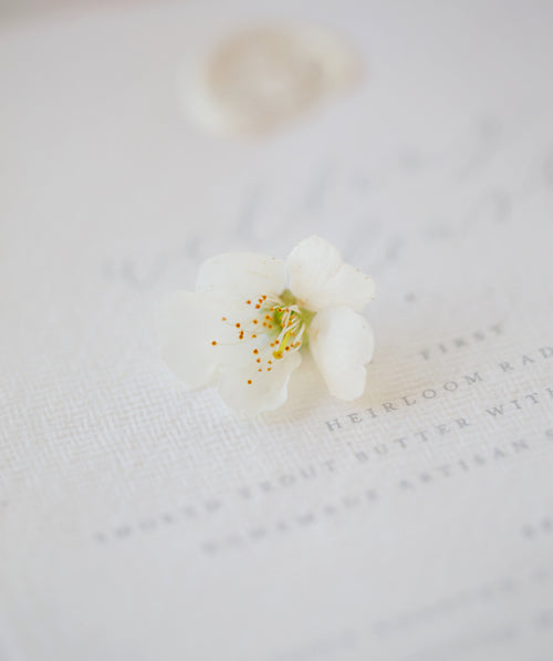a flower and a wedding invite