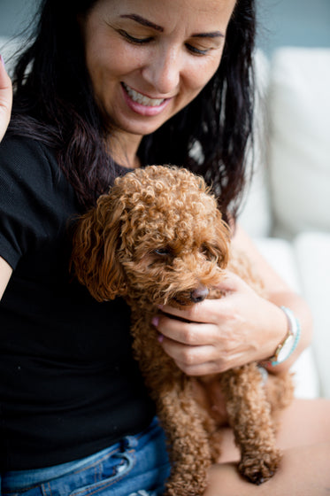 a fluffy brown dog sits on a persons lap