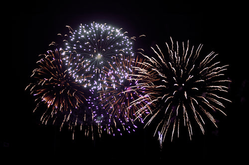 a flurry of fireworks burst into the sky