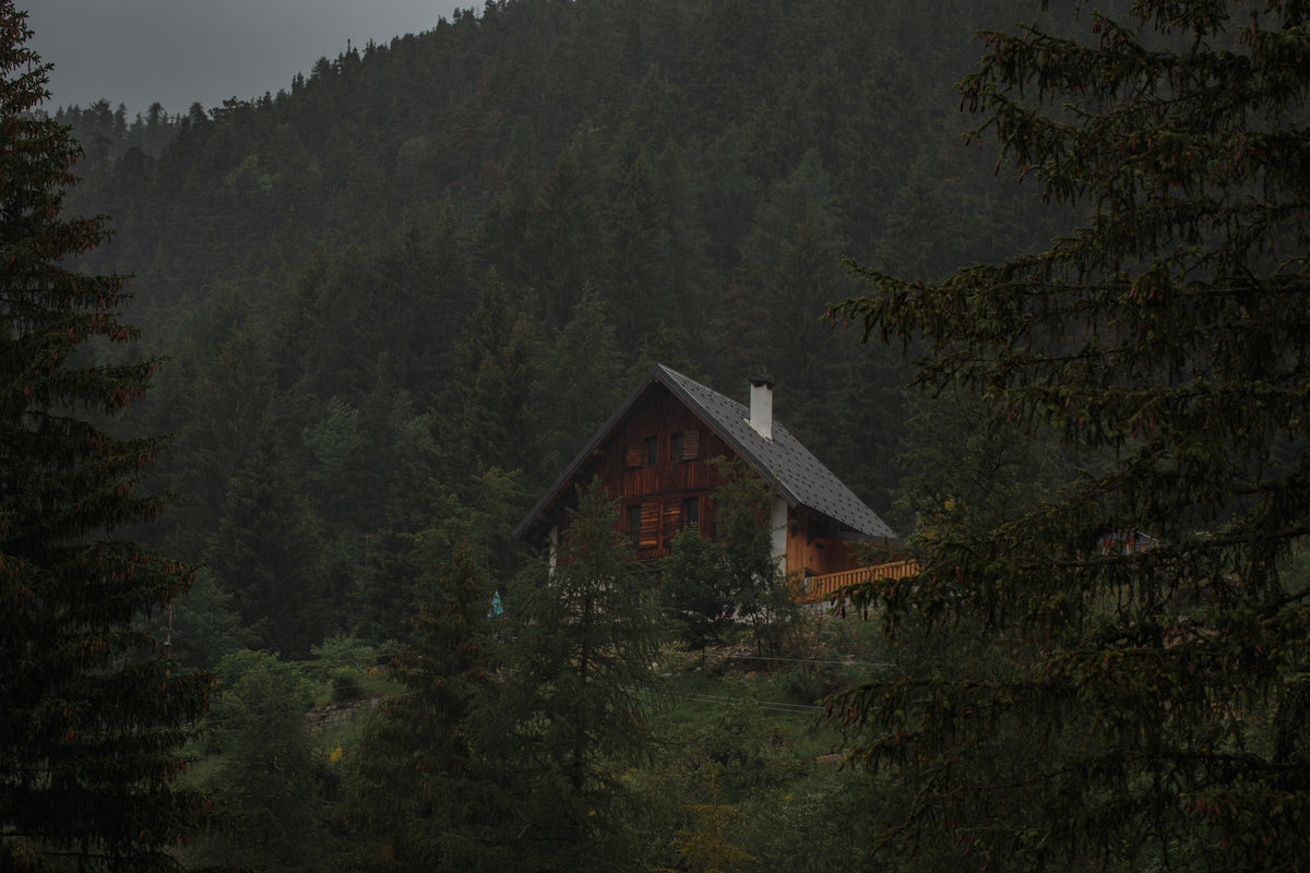 a frame wood cabin in forest