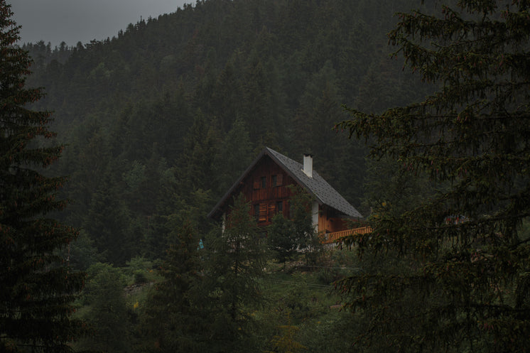 A Frame Wood Cabin In Forest