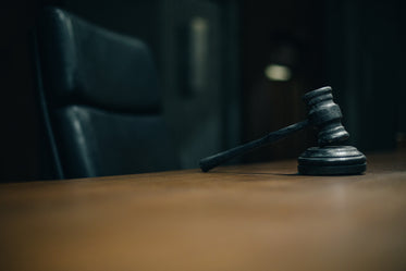 a gavel waiting to be struck