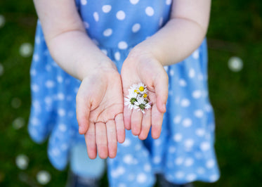a girl in a polkadot dress holds out dandelions