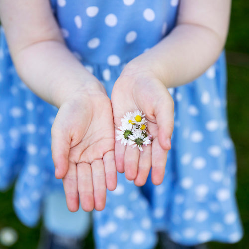 A Girl In A Polkadot Dress Holds Out Dandelions