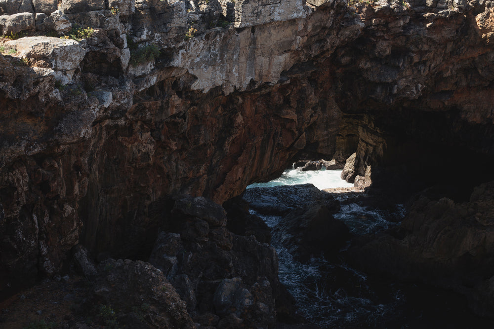 a glimpse of water through the shadows