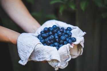 a handful of blueberries