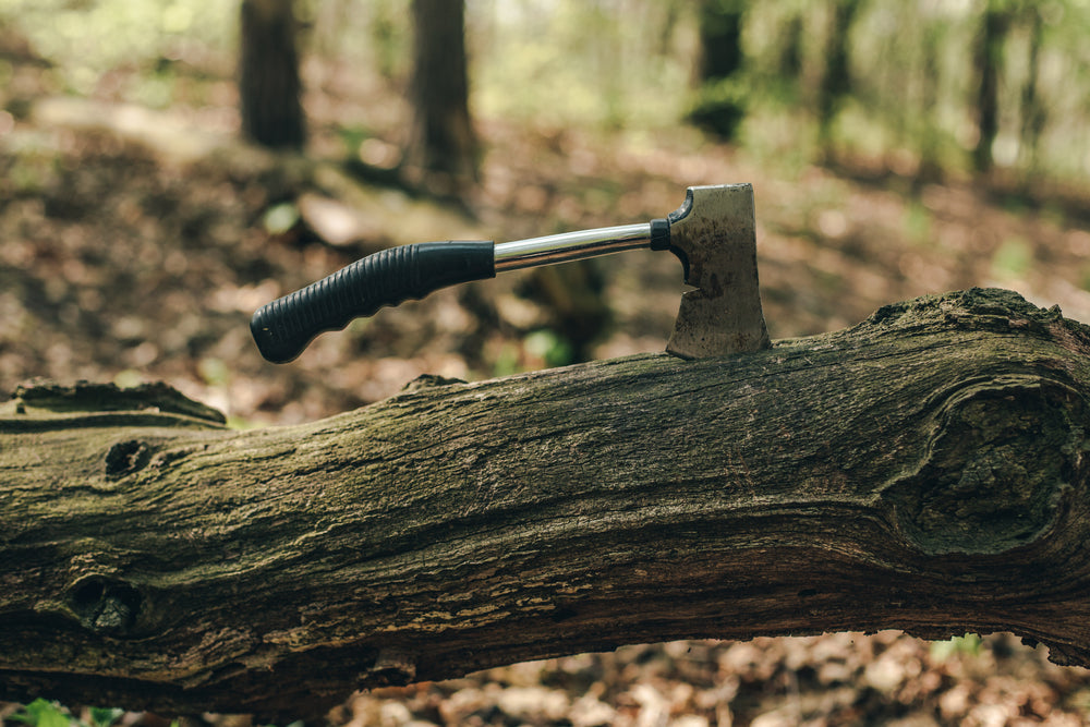 a hatchet stuck in fallen tree