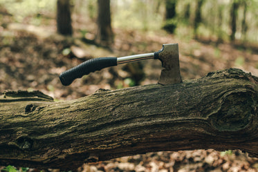 a hatchet stuck in fallen tree