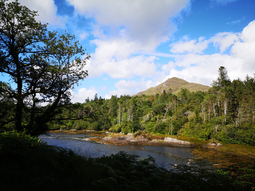 a hill and tree-covered riverside under a blue sky