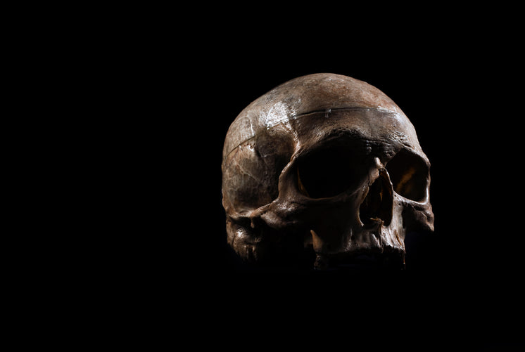a-human-skull-floats.jpg?width=746&forma