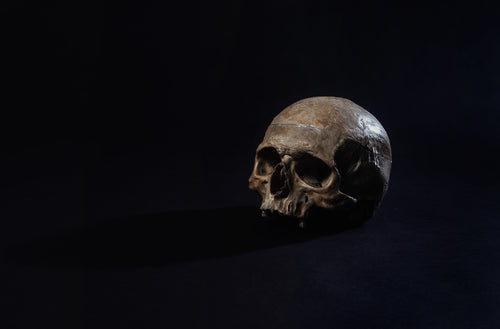 a human skull sits in a dark room