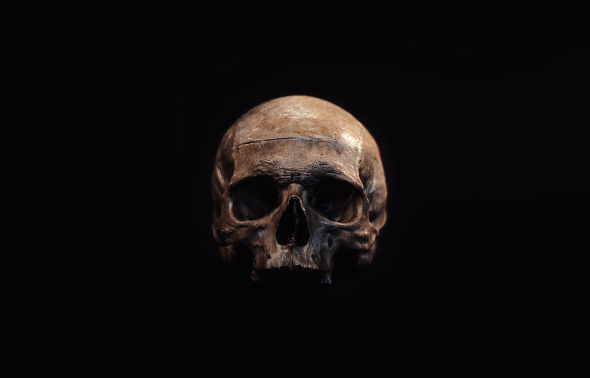 a human skull stares sightlessly out of a dark room