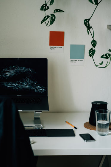 a laptop on a desk with plant overhead