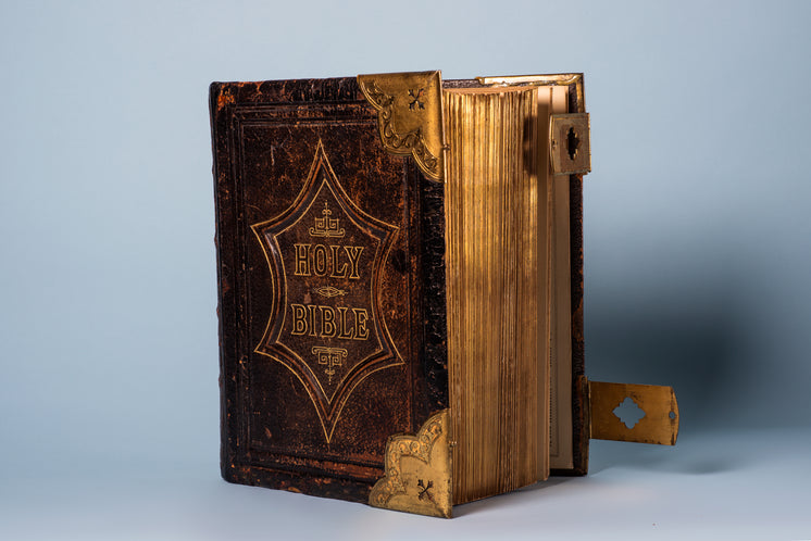 A Leatherbound Gilded Bible