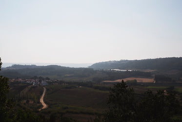 a light mist covers the landscape over the horizon