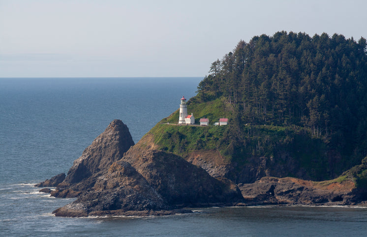 a-lighthouse-on-a-tree-covered-peninsula
