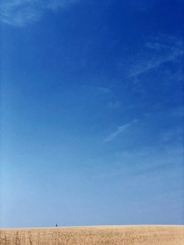 a lone figure walks the line between desert and sky