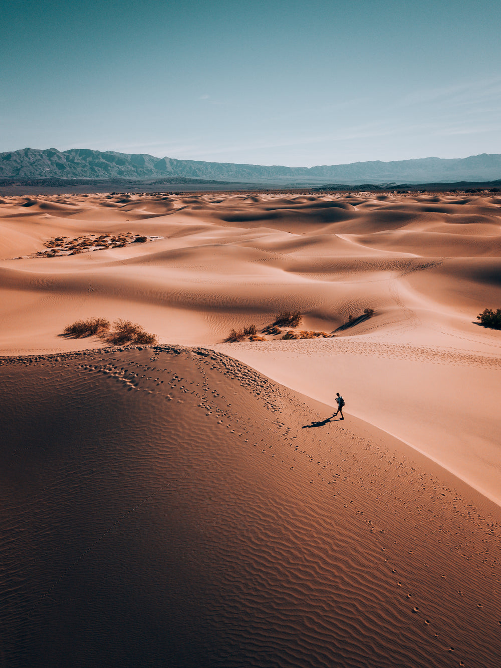 a lone wanderer in a desert land